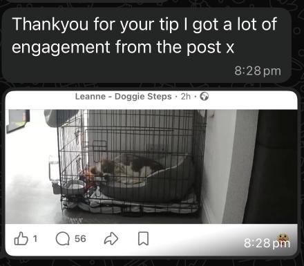 Message from a student